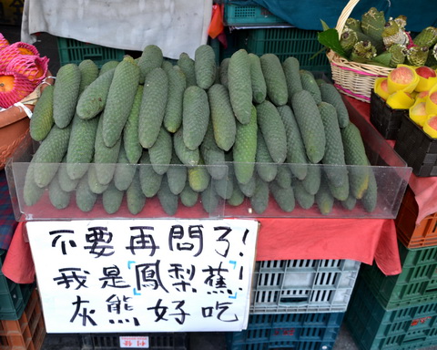 龟背竹果实(图)