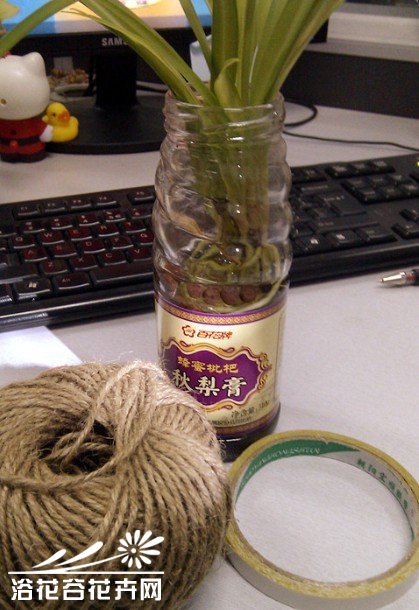 罐头瓶子变身水培花器（制作过程)