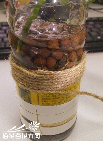 罐头瓶子变身水培花器（制作过程)