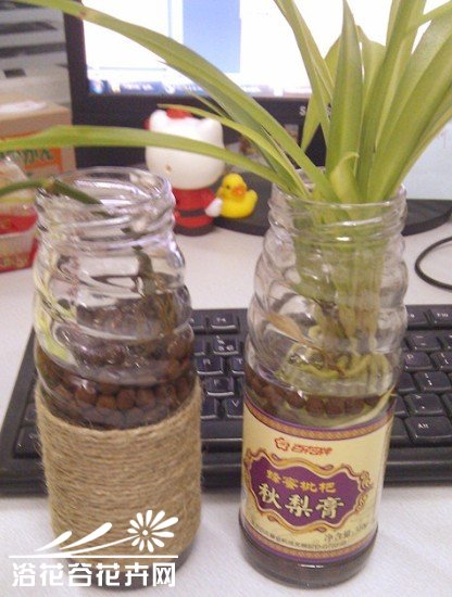罐头瓶子变身水培花器（制作过程)