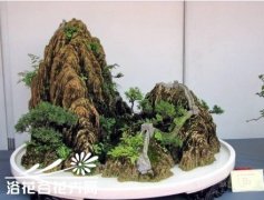 漫谈山水盆景的新款式