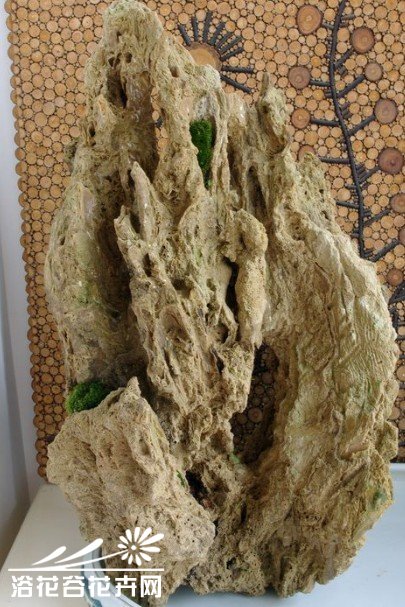 亲手教你制作山水植物盆景