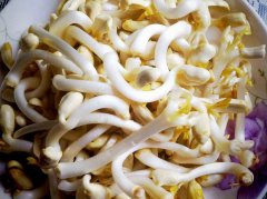 家庭水发花生芽的方法（简单）