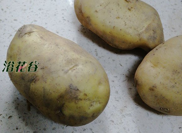 土豆