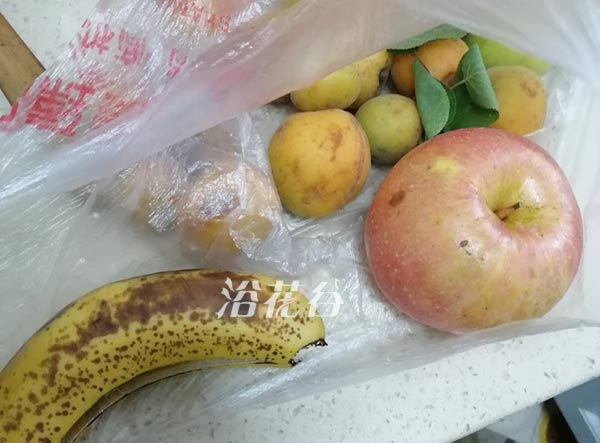生杏催熟