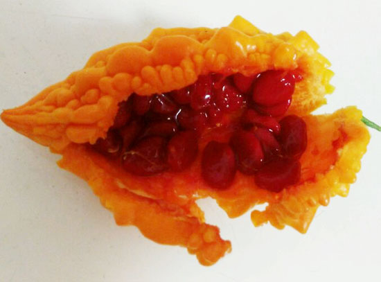 赖葡萄怎么吃（详细）