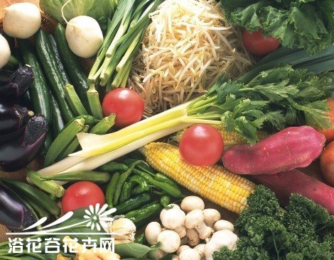 蔬菜配方施肥技术