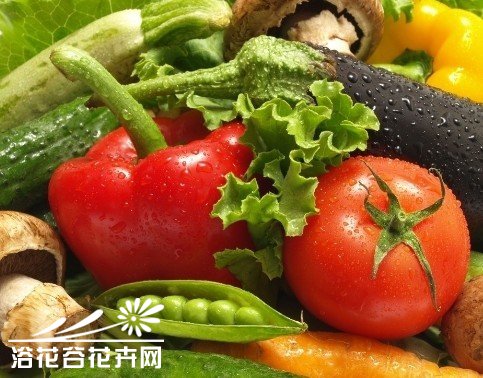 无公害防治蔬菜病虫害方法