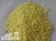家庭种菜常用化肥的使用方法