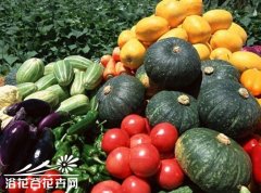 蔬菜种子的有效期限