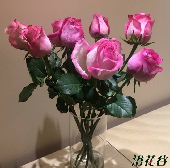 鲜花怎么保持时间长