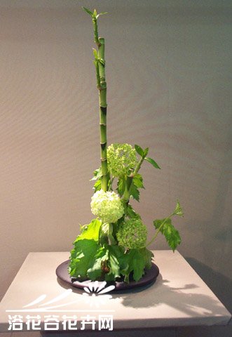 日本插花欣赏(图)