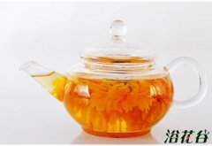 金盏菊的功效与作用