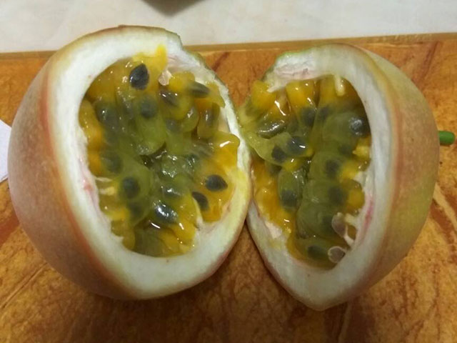 百香果