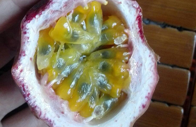 百香果