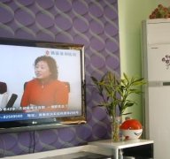 电视机旁摆放花卉不可取