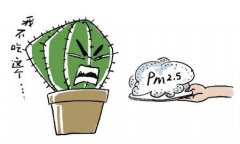 雾霾天气养什么植物(不要被骗了)