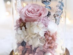 永生花和干花区别,简单易懂