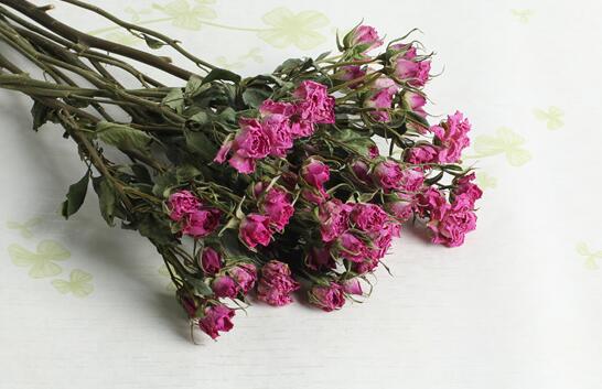 永生花和干花区别
