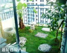 家庭养花创建健康家庭的7要素