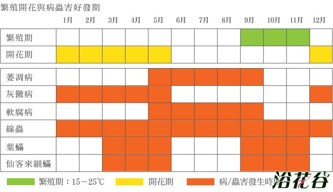 <a href='https://www.861230.com/guanhuazhiwu/6619.html' target='_blank'><u>仙客来</u></a>什么时候开花