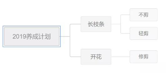 <a href='https://www.861230.com/guanhuazhiwu/44.html' target='_blank'><u>月季</u></a>小苗冬天需要剪吗