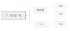 月季小苗冬天需要剪吗?
