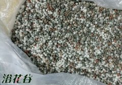 复合肥养月季使用方法