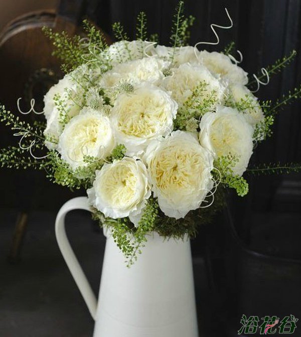 切花<a href='https://www.861230.com/guanhuazhiwu/44.html' target='_blank'><u>月季</u></a>品种—十大奥斯汀切花