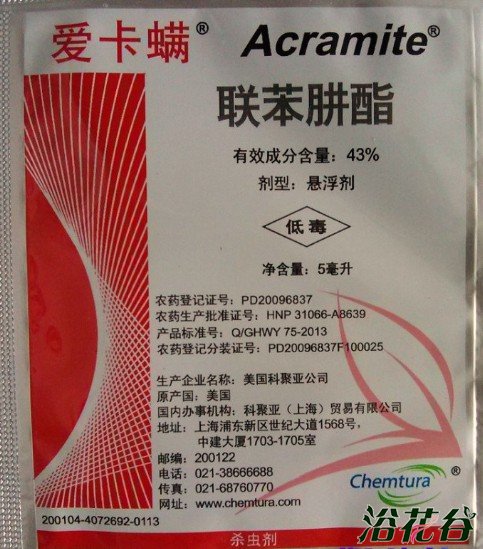 <a href='https://www.861230.com/guanhuazhiwu/44.html' target='_blank'><u>月季</u></a>红蜘蛛用什么药