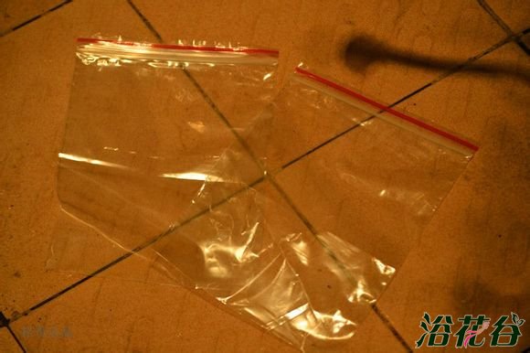<a href='https://www.861230.com/guanhuazhiwu/6593.html' target='_blank'><u>兰花</u></a>老芦头的捂法（图文）