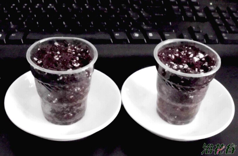 <a href='https://www.861230.com/guanhuazhiwu/6634.html' target='_blank'><u>天竺葵</u></a>浇水——夏季版