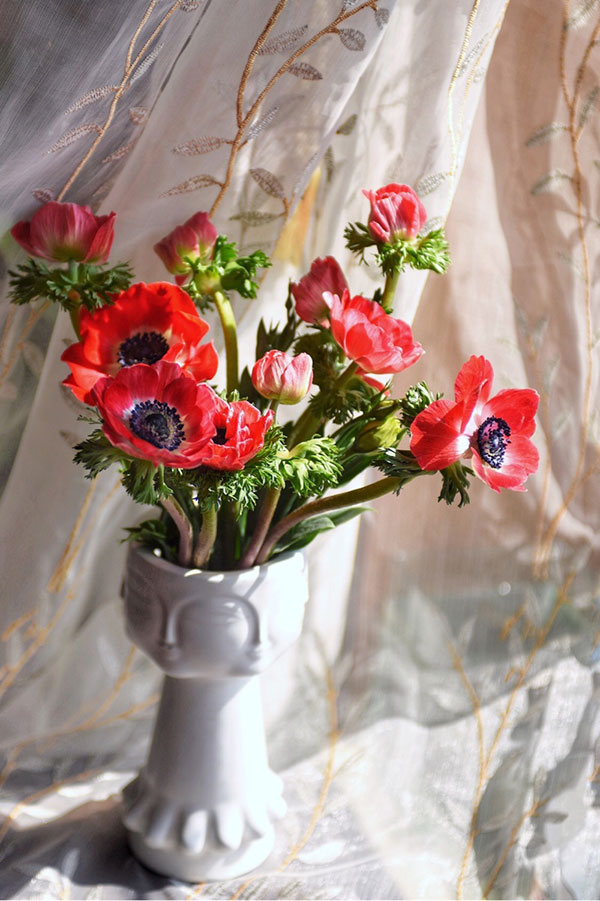 银<a href='https://www.861230.com/guanhuazhiwu/1062.html' target='_blank'><u>莲花</u></a>