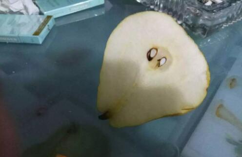 中华丑梨