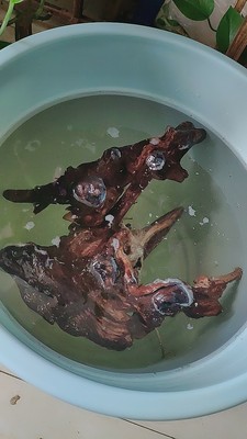 沉木黄水