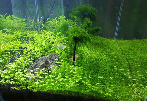 油膜的坏处
