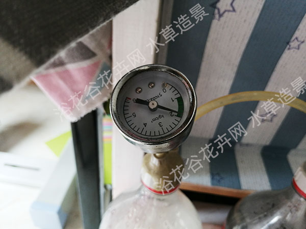 糖和酵母粉反应