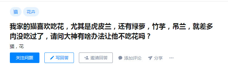 金边虎尾兰对猫有毒吗